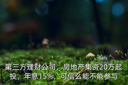 第三方理財公司，房地產集資20萬起投，年息15%，可信么能不能參與