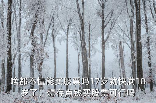 啥都不懂能買(mǎi)股票嗎17歲就快滿(mǎn)18歲了，想存點(diǎn)錢(qián)買(mǎi)股票可行嗎