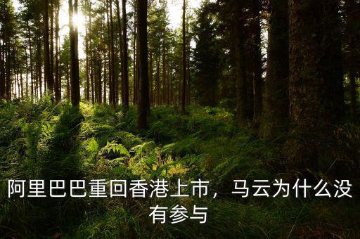 阿里巴巴重回香港上市，馬云為什么沒(méi)有參與