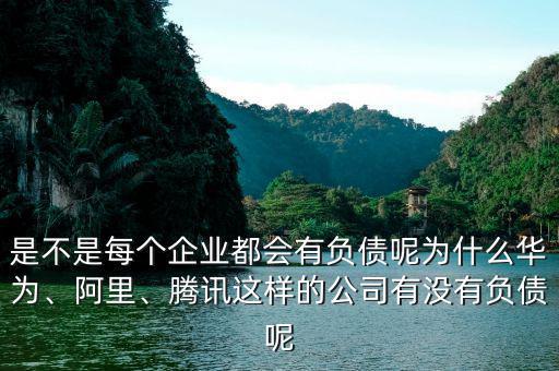 是不是每個(gè)企業(yè)都會有負(fù)債呢為什么華為、阿里、騰訊這樣的公司有沒有負(fù)債呢
