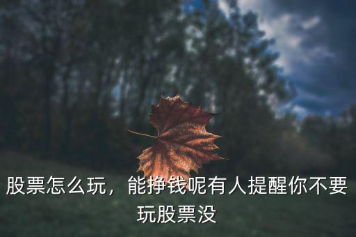 股票怎么玩，能掙錢呢有人提醒你不要玩股票沒