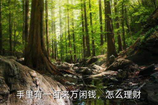 手里有一百來萬閑錢，怎么理財