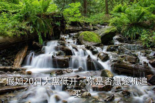 假如20日大盤低開，你是否想趁機(jī)追買