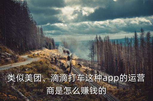 類似美團(tuán)、滴滴打車這種app的運營商是怎么賺錢的
