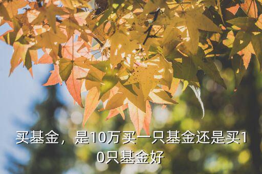 買基金，是10萬買一只基金還是買10只基金好