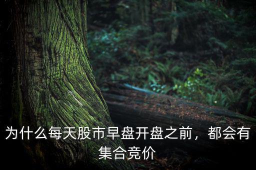 為什么每天股市早盤開盤之前，都會(huì)有集合競(jìng)價(jià)