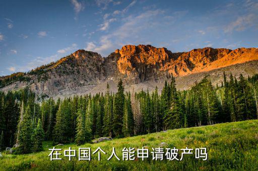 在中國(guó)個(gè)人破產(chǎn)意味著什么,在中國(guó)個(gè)人能申請(qǐng)破產(chǎn)嗎