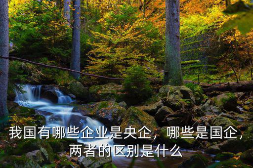 我國有哪些企業(yè)是央企，哪些是國企，兩者的區(qū)別是什么