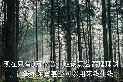 現(xiàn)在只有8萬存款，應(yīng)該怎么管理理財(cái)，讓錢不閑置甚至可以用來錢生錢