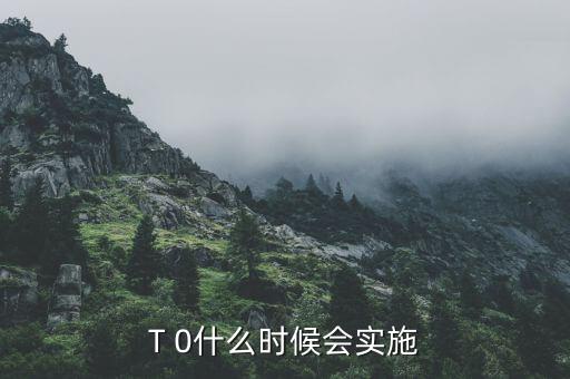 股市t十0什么時(shí)候?qū)嵭?T 0什么時(shí)候會實(shí)施