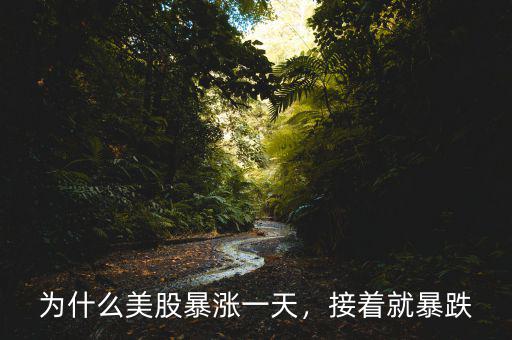 為什么美股暴漲一天，接著就暴跌