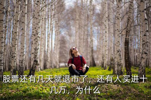 股票還有幾天就退市了，還有人買進(jìn)十幾萬(wàn)，為什么