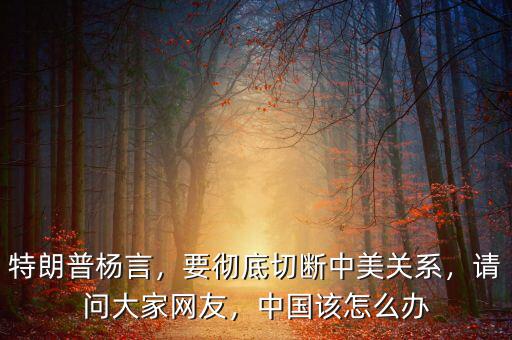 特朗普楊言，要徹底切斷中美關(guān)系，請(qǐng)問(wèn)大家網(wǎng)友，中國(guó)該怎么辦