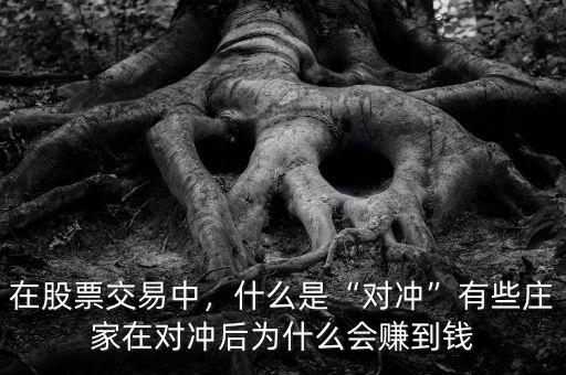 在股票交易中，什么是“對(duì)沖”有些莊家在對(duì)沖后為什么會(huì)賺到錢