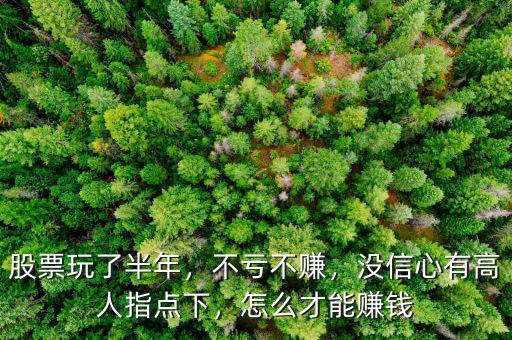 股票玩了半年，不虧不賺，沒信心有高人指點下，怎么才能賺錢