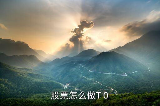 股票買(mǎi)賣(mài)怎么做反手t,股票怎么做T 0