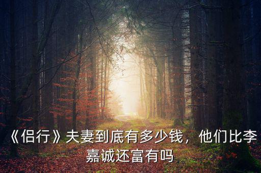 《侶行》夫妻到底有多少錢，他們比李嘉誠還富有嗎