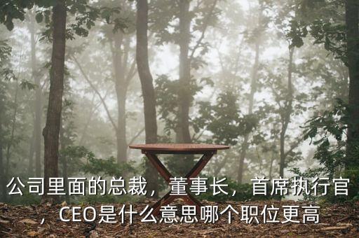 公司里面的總裁，董事長，首席執(zhí)行官，CEO是什么意思哪個職位更高