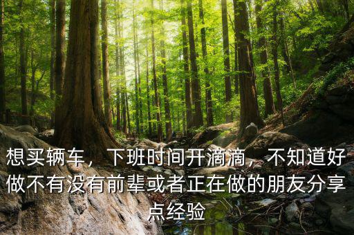 想買輛車，下班時(shí)間開滴滴，不知道好做不有沒有前輩或者正在做的朋友分享點(diǎn)經(jīng)驗(yàn)
