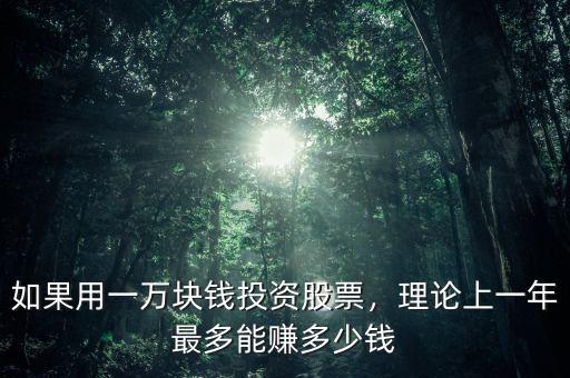 如果用一萬塊錢投資股票，理論上一年最多能賺多少錢