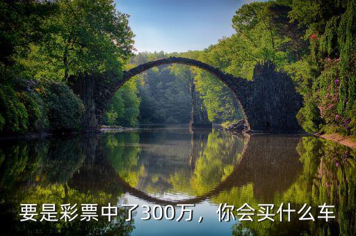 要是彩票中了300萬，你會買什么車
