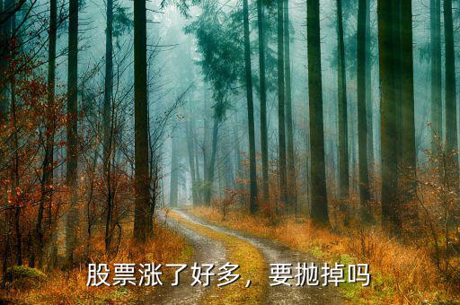 股票漲了好多，要拋掉嗎