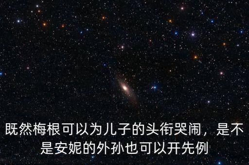 既然梅根可以為兒子的頭銜哭鬧，是不是安妮的外孫也可以開先例