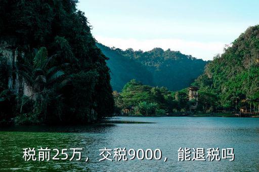 稅前25萬(wàn)，交稅9000，能退稅嗎