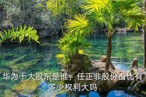 華為十大股東是誰，任正非股份占比有多少權(quán)利大嗎