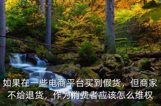 如果在一些電商平臺(tái)買(mǎi)到假貨，但商家不給退貨，作為消費(fèi)者應(yīng)該怎么維權(quán)