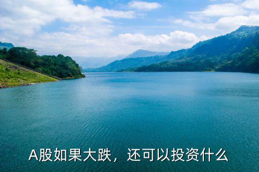 A股如果大跌，還可以投資什么