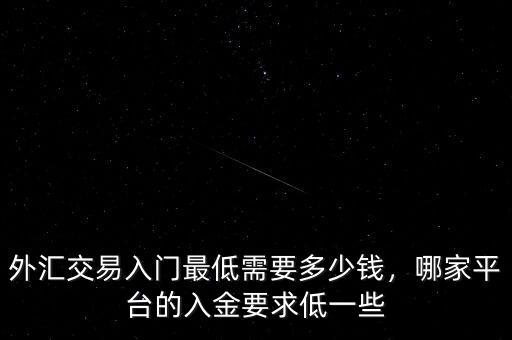 外匯交易入門最低需要多少錢，哪家平臺的入金要求低一些