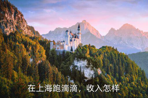 在上海跑滴滴，收入怎樣