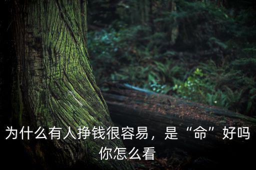 為什么有人掙錢很容易，是“命”好嗎你怎么看