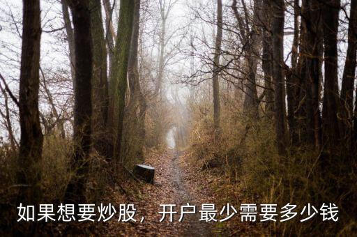 如果想要炒股，開戶最少需要多少錢