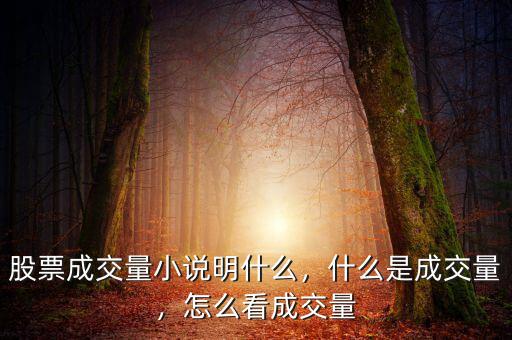 股票成交量小說(shuō)明什么，什么是成交量，怎么看成交量