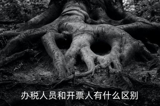 辦稅人員是什么，辦稅人員和開票人有什么區(qū)別