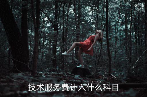 技術(shù)服務(wù)收入計(jì)入什么科目，收到技術(shù)服務(wù)費(fèi)計(jì)入什么科目