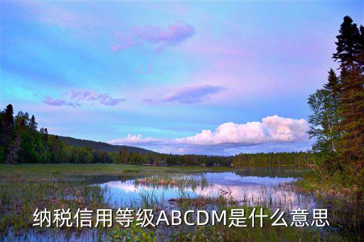 江蘇國(guó)稅信用評(píng)級(jí)是什么，納稅信用等級(jí)ABCDM是什么意思