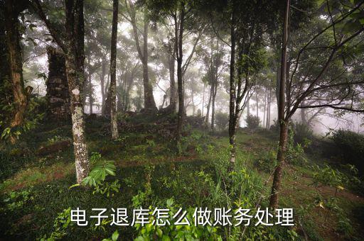 地稅電子退庫入什么科目，電子退庫款退稅款的會計分錄怎么做求解答