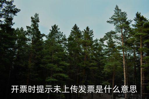 打發(fā)票時顯示未上傳是什么原因，電子發(fā)票未上傳