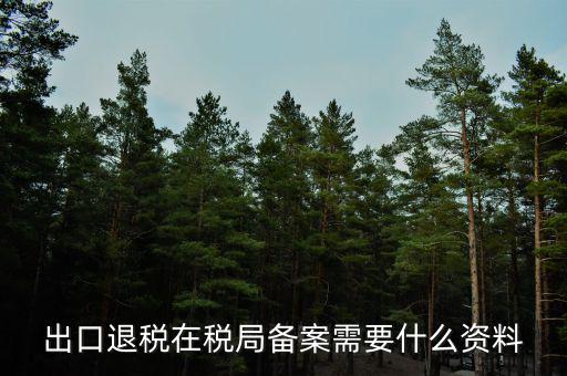 出口退免稅備案需要什么資料，出口退稅在稅局備案需要什么資料