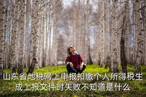 山東地稅網(wǎng)為什么沒法報(bào)稅，山東地稅網(wǎng)上申報(bào)系統(tǒng)網(wǎng)頁無法訪問是什么原因