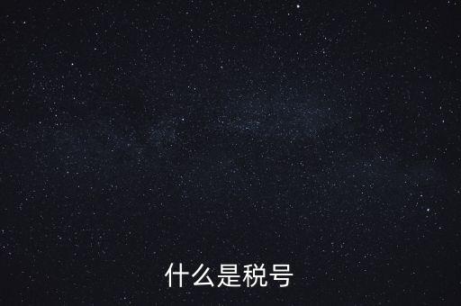 什么是單位稅號，什么是稅號