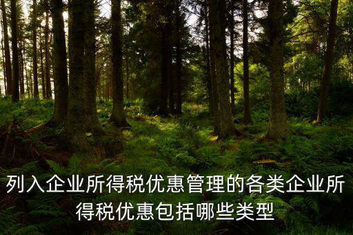 企業(yè)所得稅優(yōu)惠事項名稱指什么，享受企業(yè)所得稅優(yōu)惠申請表中稅收優(yōu)惠事項名稱怎么填