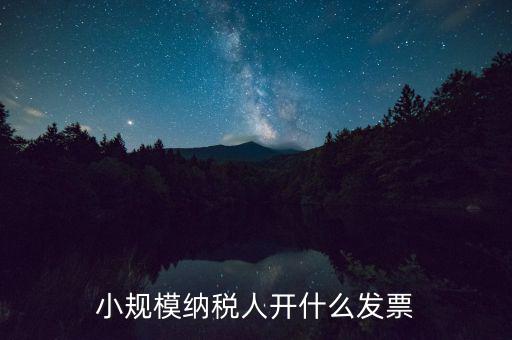 成都小規(guī)模應(yīng)開什么發(fā)票，小規(guī)模納稅人開什么發(fā)票
