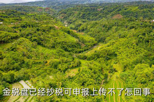 金稅申報(bào)發(fā)送不了是什么原因，金稅盤已經(jīng)抄稅可申報(bào)上傳不了怎回事