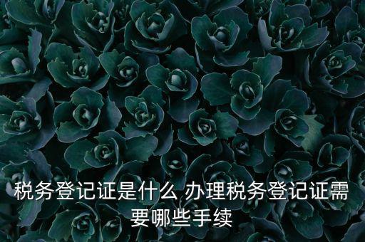 地稅局登記是什么，地稅辦理稅務(wù)登記需要哪些資料