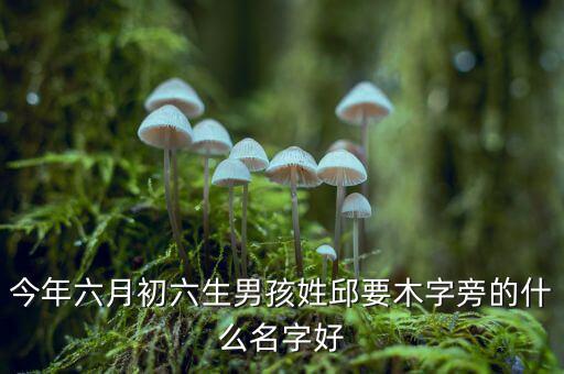 稅什么邱什么的名字，孩子姓邱該取什么名字呢男女都行
