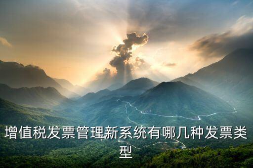 增值稅發(fā)票管理新系統(tǒng)是什么，增值稅開票系統(tǒng)有幾種 增值稅開票系統(tǒng)有哪些